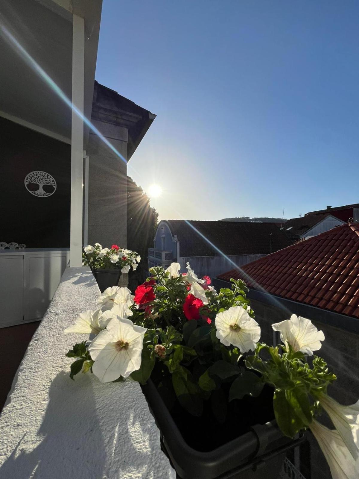 Airado Casco Historico Apartment Pontevedra Exterior photo